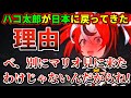 こんな短期間で再度日本に戻ってきた理由を説明するハコ太郎【ハコスベールズ】