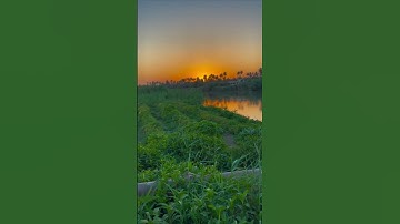 يوم الجمعة أني جزيتهم اليوم #تلاوة_خاشعة #تلاوة_هادئة #اسلام_صبحي #خواتيم_سورة_المؤمنون #قرآن_كريم