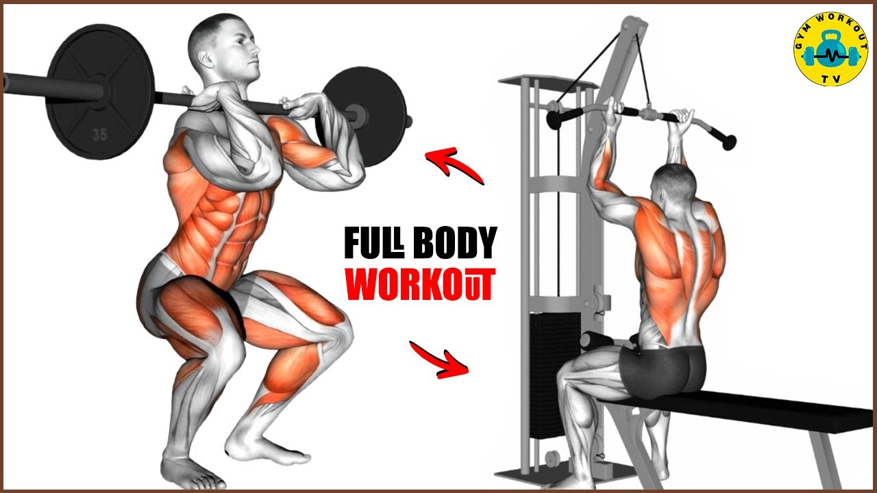 The ONLY 5 Back Exercises Beginners Need for a Stronger Physique