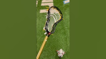The cleanest stick in the world