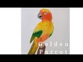 Tutorial how to draw a golden parrot