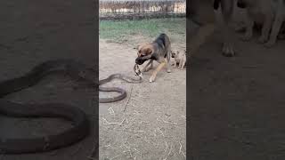 A Mother Can Fix Anythingmother