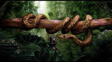 How to Earn $10000 per month in 2023 by using Faceless YouTube Channel with ChatGPT and Canva