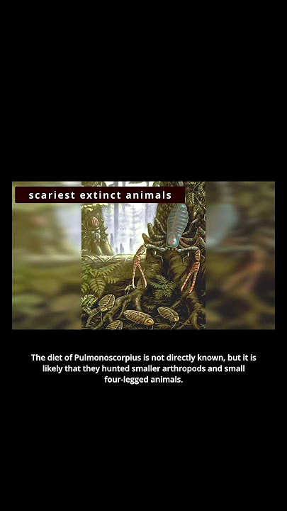 Pulmonoscorpion: The Extraordinary Lung-Respiring Arachnid
