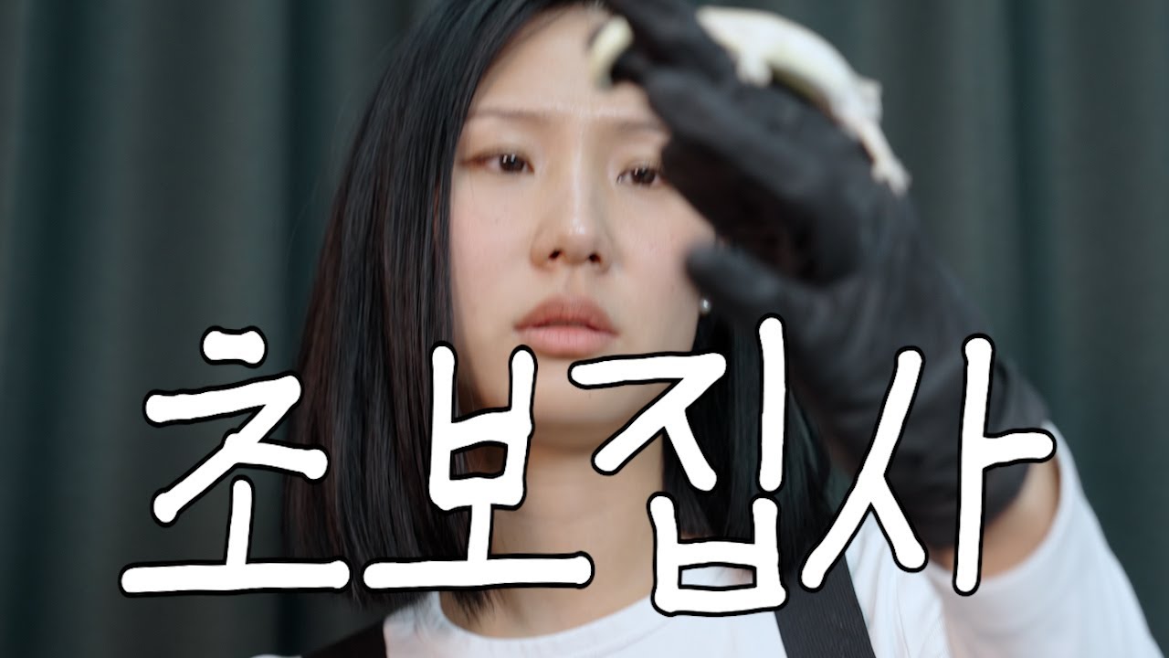 도마뱀 키운지 1년 만에 126마리 됐습니다｜밥 만들기 | 먹이 주기