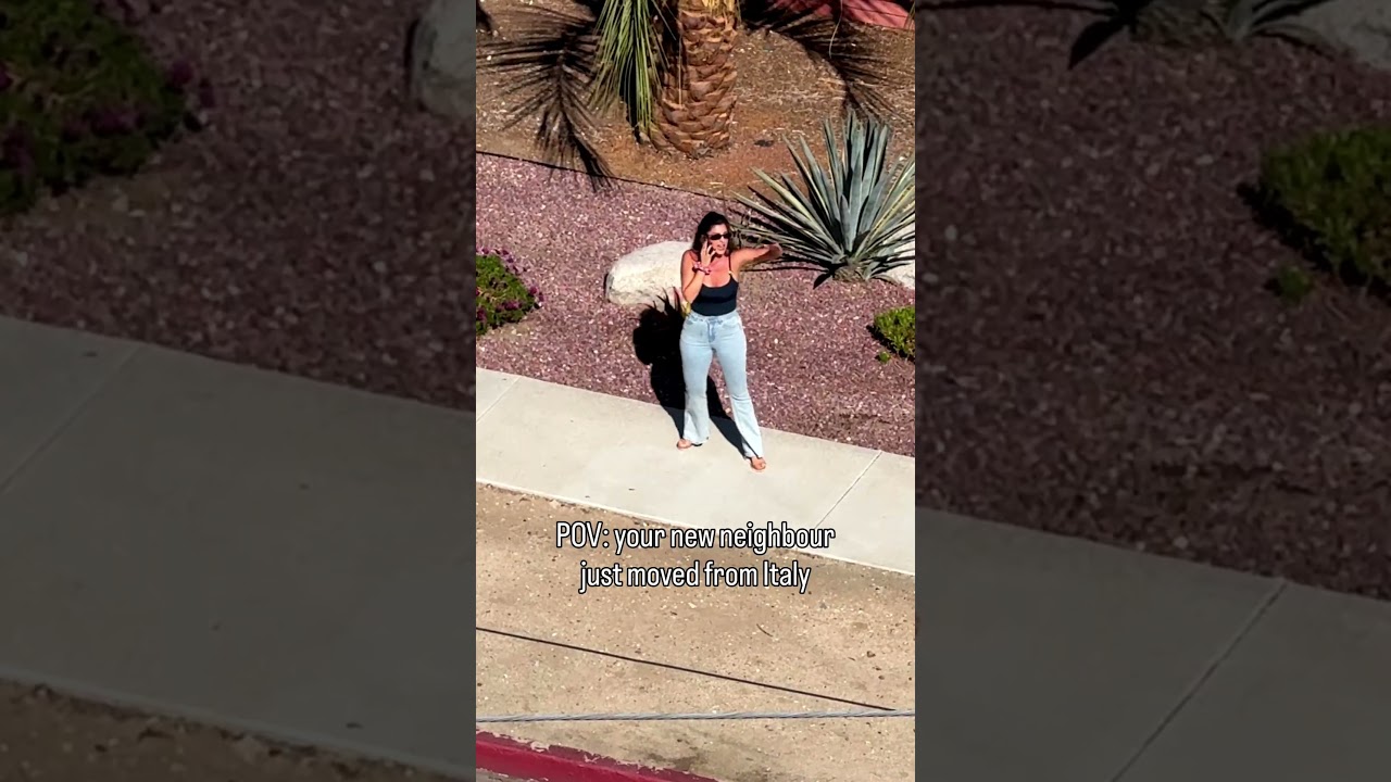 Oh how wonderful to have new calm neighbours 🥸Cr: Le fettine di vitello non ti vanno bene!? 😅