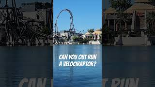 Can you out Run a Velociraptor? Velocicoaster #shorts #universalorlando #rollercoaster