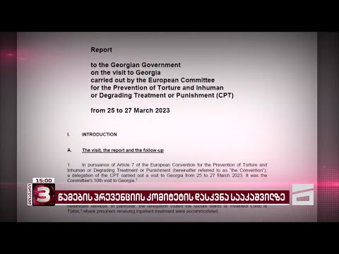 ევროპის საბჭოს წამების პრევენციის კომიტეტის დასკვნა მიხეილ სააკაშვილსა და \"ვივა მედზე\"