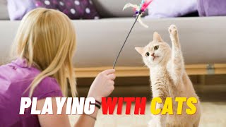 How to Play with Your Cat in 8 Fun Ways 2021 by Cat Lovers 44 views 3 years ago 2 minutes, 50 seconds