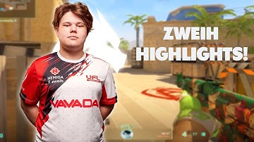 SPIRIT TARGET ZWEIH. ZWEIH CS2 HIGHLIGHTS!