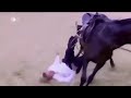 امير الشواذ والمثلين والاخوان المتخانثون امير الشواذ والمثلين والاخوان المتخانثون