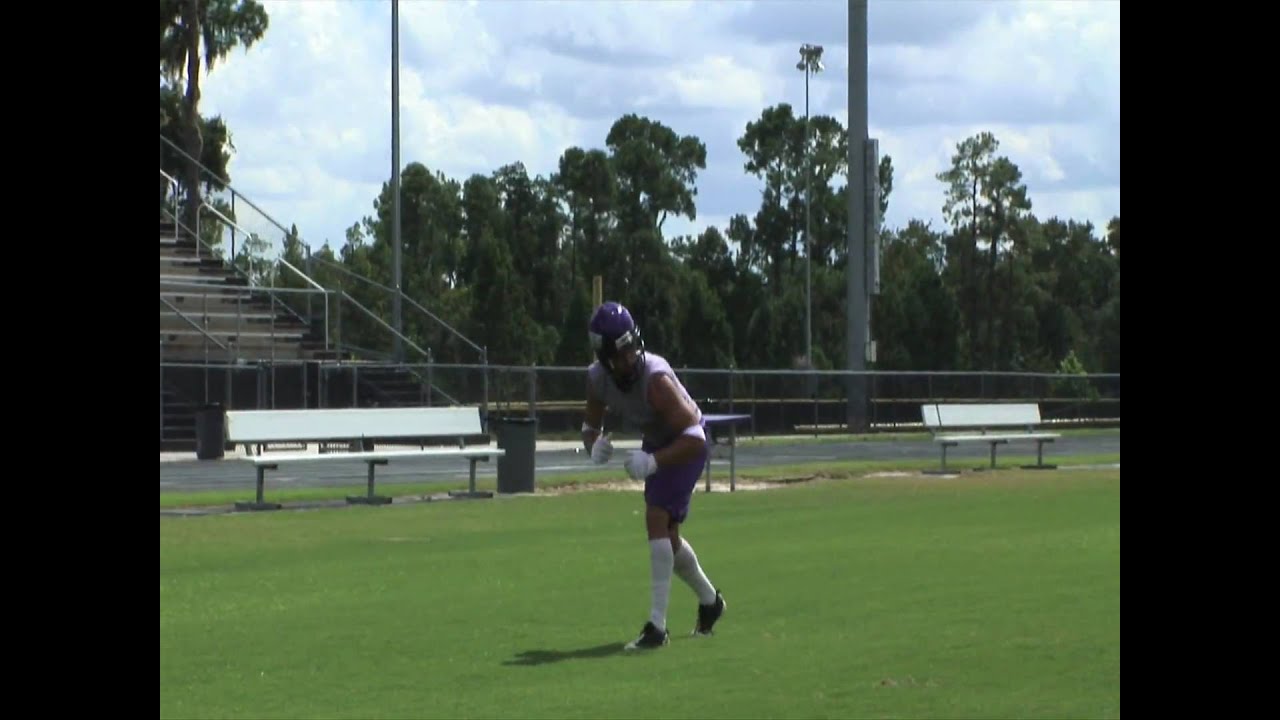 FootballSean Malafronte Mount Union Mark Walker JR WSHS. 2009 YouTube