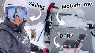 Motorhome Ski ADVENTURE with the Doggies