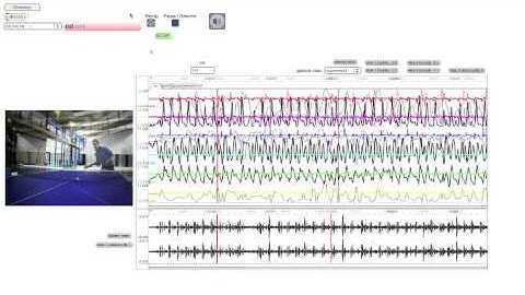 Multimodal recordings visualization and analysis : table tennis.