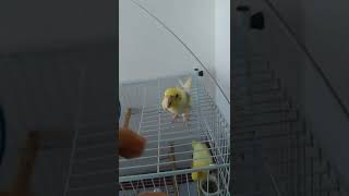 22 De Janeiro De 2022