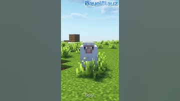 Features only in Java Edition  #minecraft #minecrafthumor #memes #javaeditionminecraft