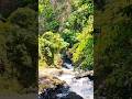 “Esse lugar parece cena de filme 🎬💧” #natureza #vidasaudável #shorts