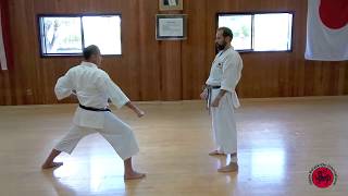 Intermediate Kihon techniques