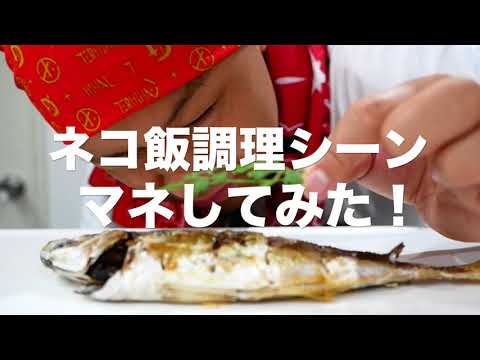 【MHD】ネコ飯調理シーンマネしてみた　by料理長RAM