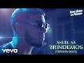 Anuel AA - Brindemos (Version Solo) | Audio