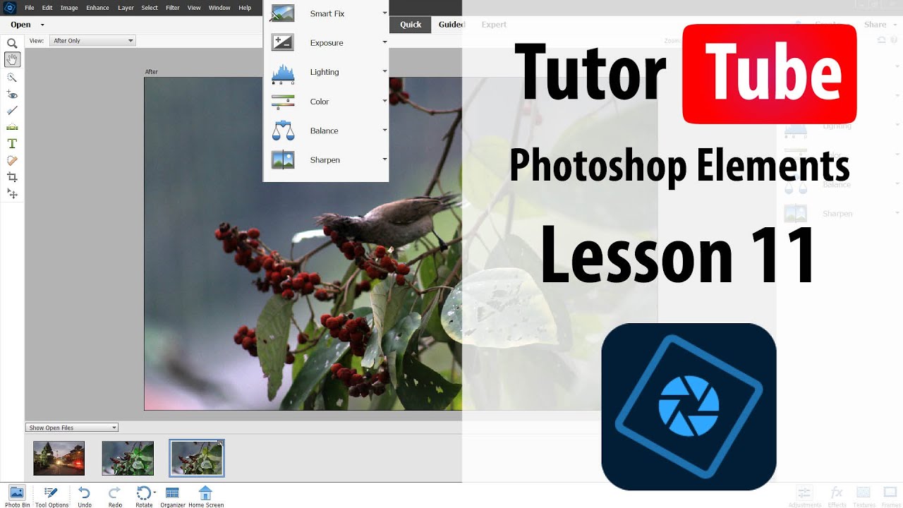 Photoshop Elements Tutorial - Lesson 11 - Fixing Red Eyes - YouTube