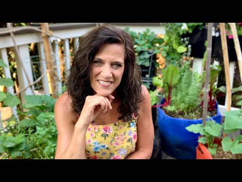 Video: The Lunar Calendar Of The Florist And Gardener For August 2017, When It Is Worth Planting Greens, Watering And Spraying The Garden From Pests Video: The Lunar Calendar Of The Florist And Gardener For August 2017, When It Is Worth Planting Greens, Watering And Spraying The Garden From Pests
