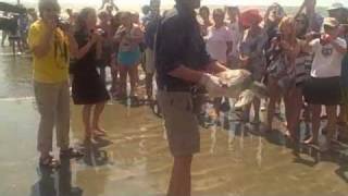 Philippe Cousteau Visits Kiawah Island, SC For Turtle Release