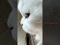 فؤادى متعب والليل طال