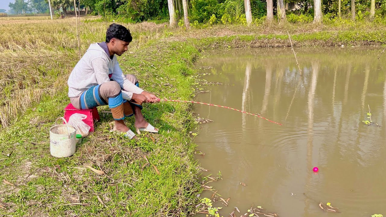 An amazing video of fishing with bread in a village pond Fr Village Fishing Hook Fish 