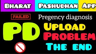 Problem ? The END ll PD upload ki tension khtam ll How to upload Pregnancy diagnosis inaph vet