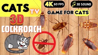 CAT GAMES - 3D Cockroach 🙀🪳 Best Game For CATS 😻📺 [4K] 3 HOURS🪳🪳NO ADS