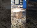 HOD of biology #shorts #science #viral