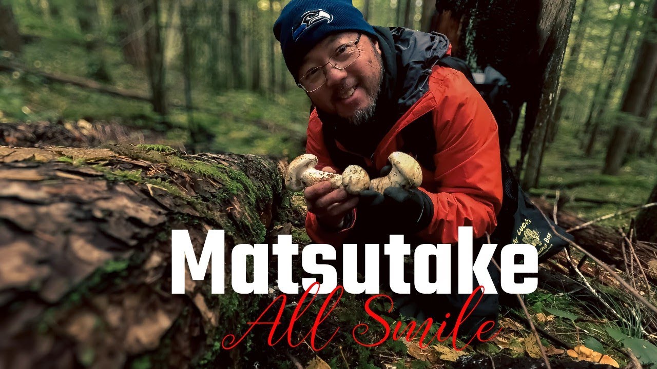 Foraging for Matsutake Mushrooms in the Pacific Northwest Gifford