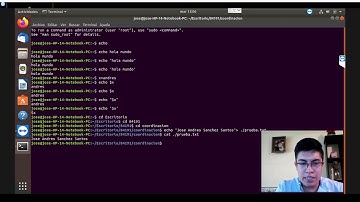 84191 Comando ECHO en Linux