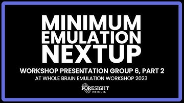 Workshop Presentation Group 6, Part 2: Minimum Emulation Nextup @ Whole Brain Emulation Workshop 