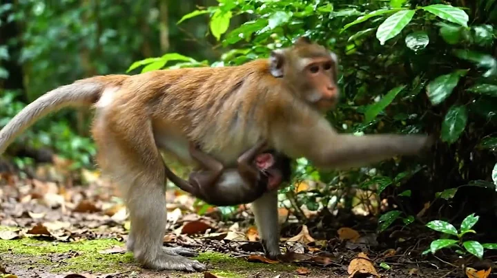 70d29da1 2a22 42fe 974b 05f2929495f4