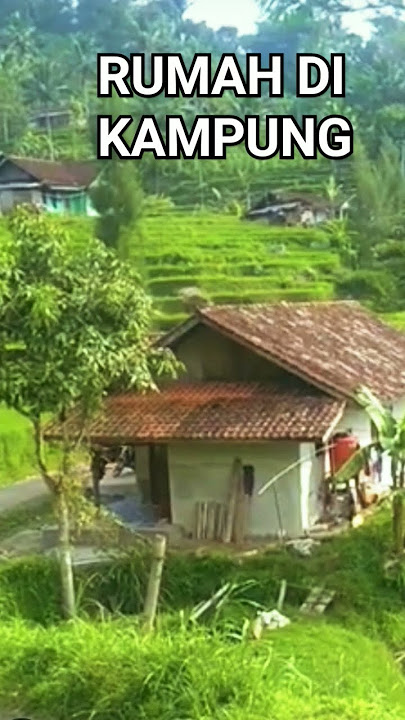 RUMAH KAMPUNG YANG ADEM #shorts #rumah #kampung