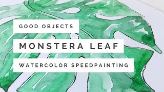 How to paint a monstera leaf with watercolors
