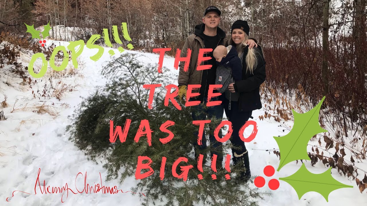 Places On Long Island To Cut Down Christmas Trees at Christopher