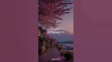 تلاوة هادئة بصوت محمد اللحيدان 🤍 #محمد_اللحيدان #quran