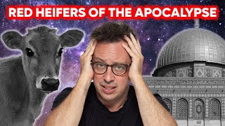 Eclipses, Red Heifers And The Apocalypse