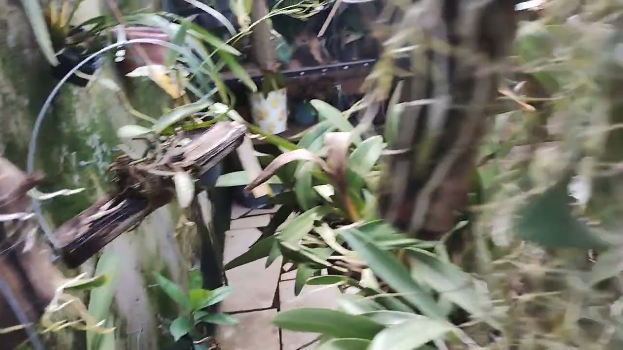 12 de fevereiro de 2026