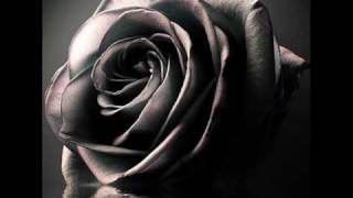 Video thumbnail of "The Rose- LeAnN  RiMeS"