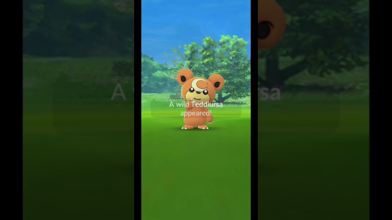 Special Research: Sweet Snacks (1/4) - Teddiursa Community Day | Pokemon GO