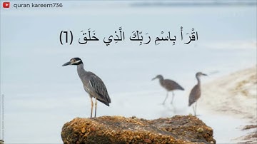 سورة العلق للقارئ عبدالرحمن السديس