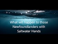 Jason r martin  saltwater hands lyrics newfie music nl music newfoundland music viral song