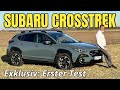 SUBARU CROSSTREK: Was kann der Nachfolger des XV? Test | Review | Allrad | Boxermotor | Preis | 2024