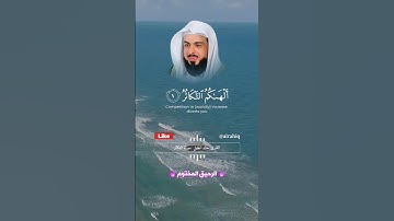 سورة التكاثر - خالد الجليل