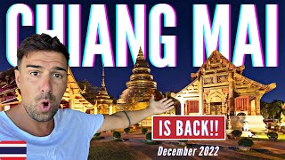 A DAY IN CHIANG MAI  I CAN'T BELIEVE HOW BUSY IT IS!  THAILAND VLOG