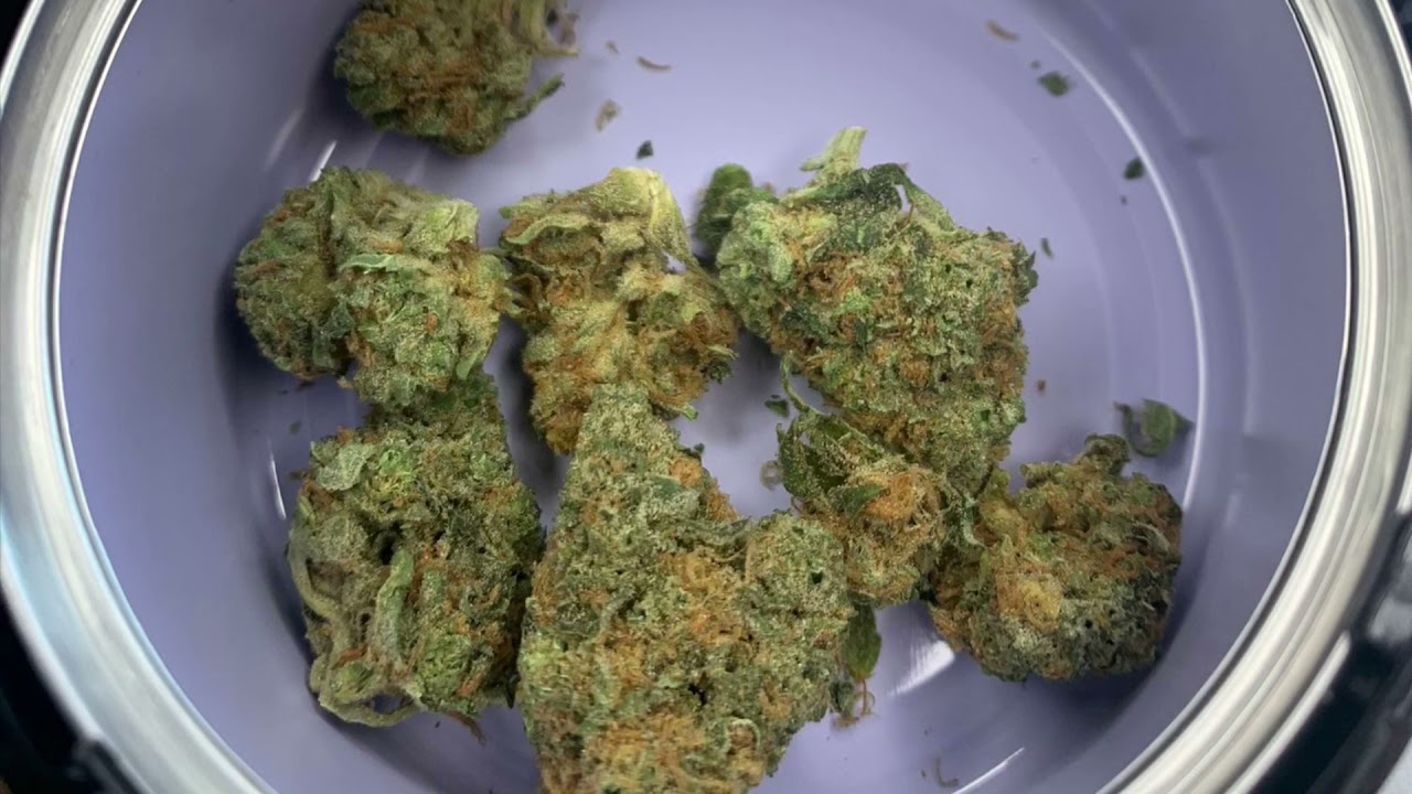 Yeti Stomper Seven Hills